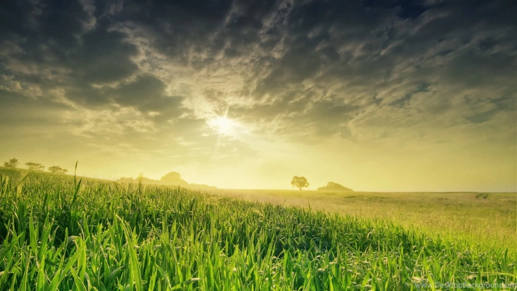 1366x768 Sunrise Over Green Field Desktop PC And Mac Wallpapers
