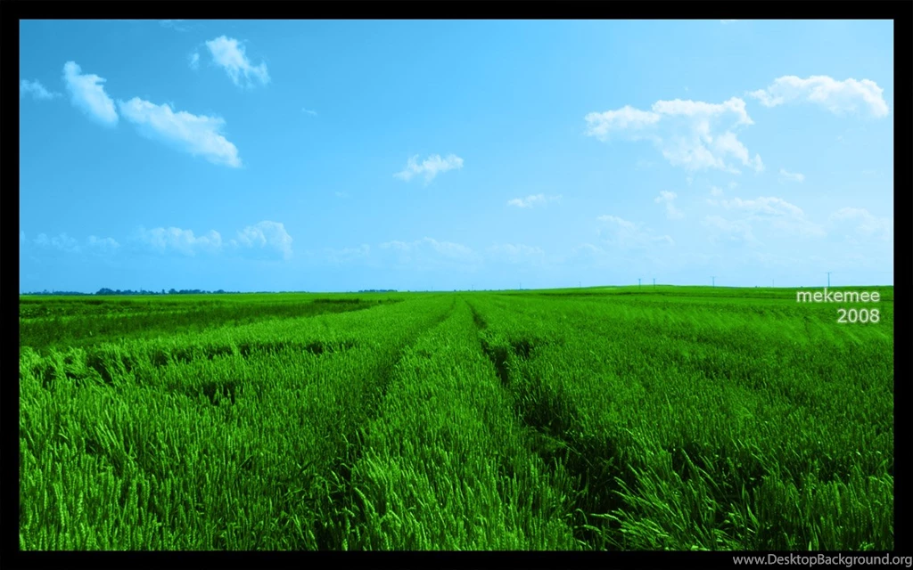 Green Field: Wallpapers By Mekemee On DeviantArt