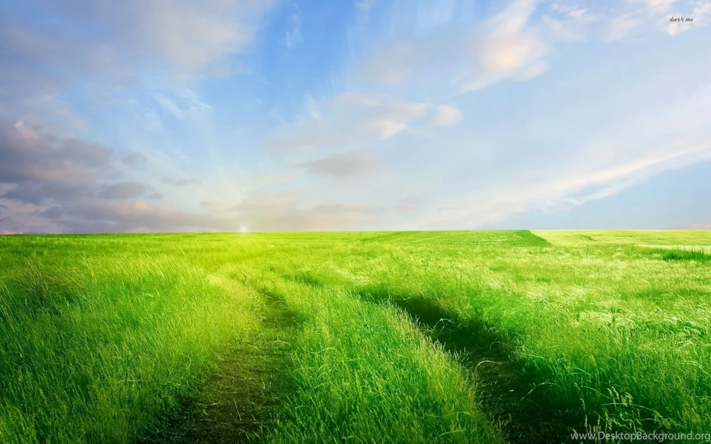 Tracks Through The Green Field Wallpapers Nature Wallpapers