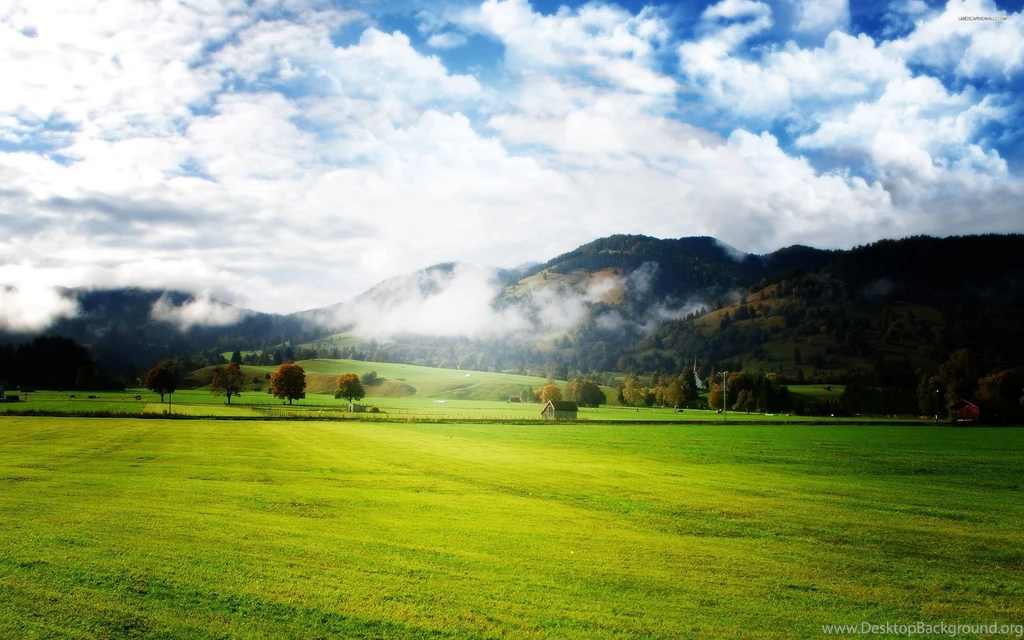 Perfect Green Field Wallpapers