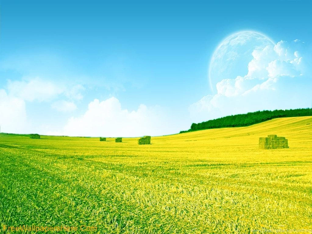 Beautiful Yellow Green Field Wallpaper Backgrounds Pictures And ...