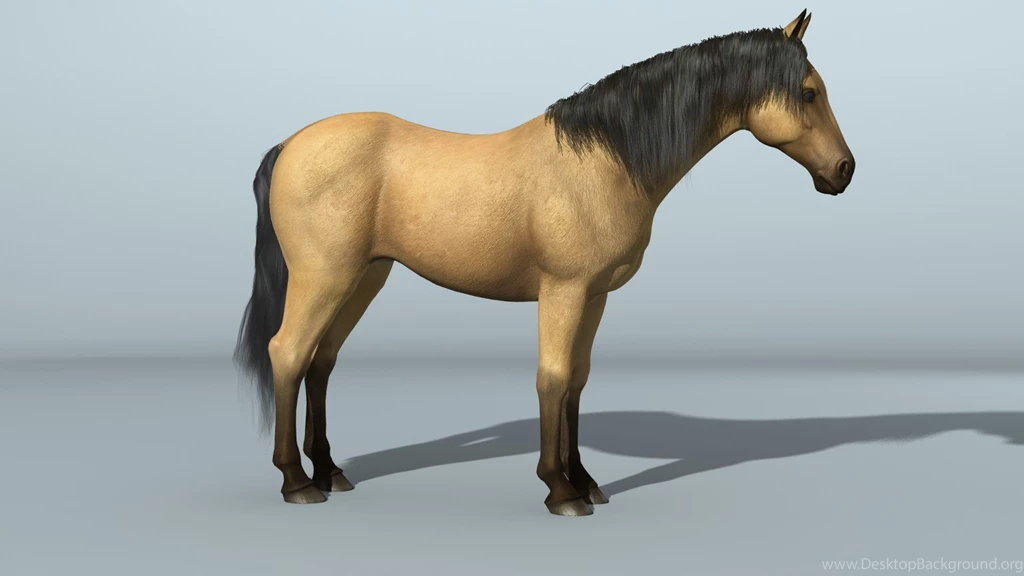 Horses 3d Buskin Horse Computerized Animation 05 Full Hd Animal ...