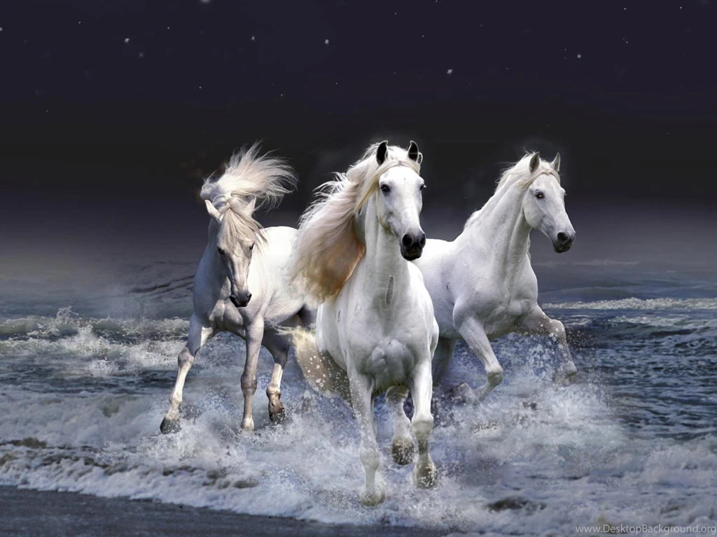 White Horse Wallpaper Images Uncalke.com