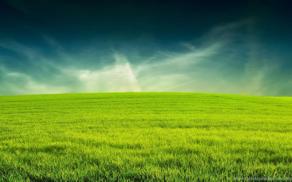 Beautiful Green Field Widescreen Wallpapers