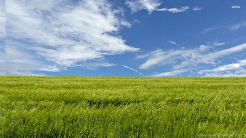 Green Field Wallpapers Nature Wallpapers