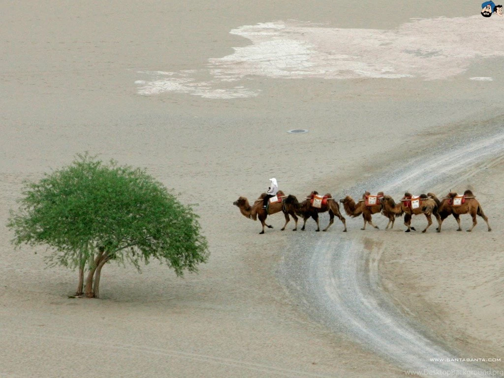 Santabanta Nature Wallpapers   HD Wallpapers Lovely