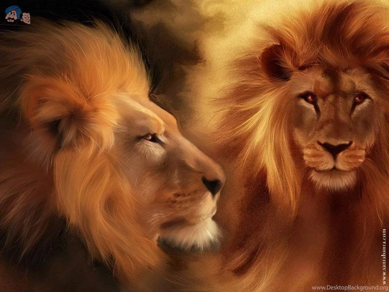 Nature Wallpapers Free Photos: Santa Banta Natural Wall Papers