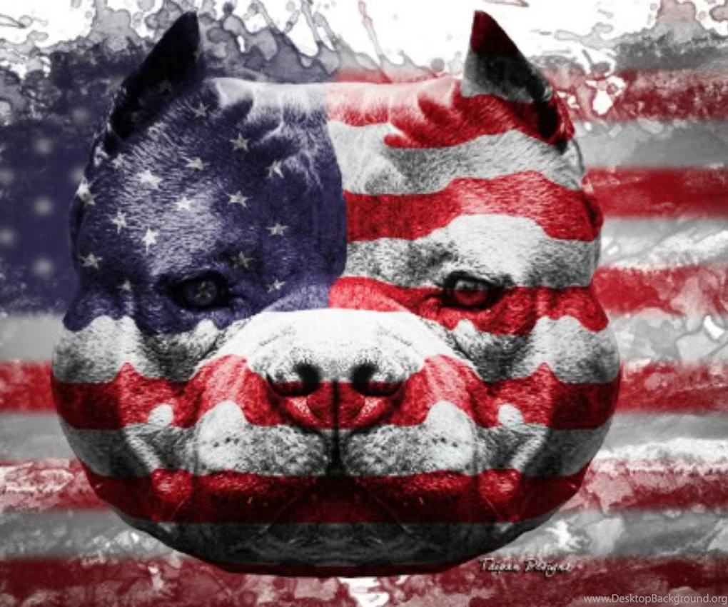 Download Gratis Amerika Wallpapers Background,Gratis Amerika ...
