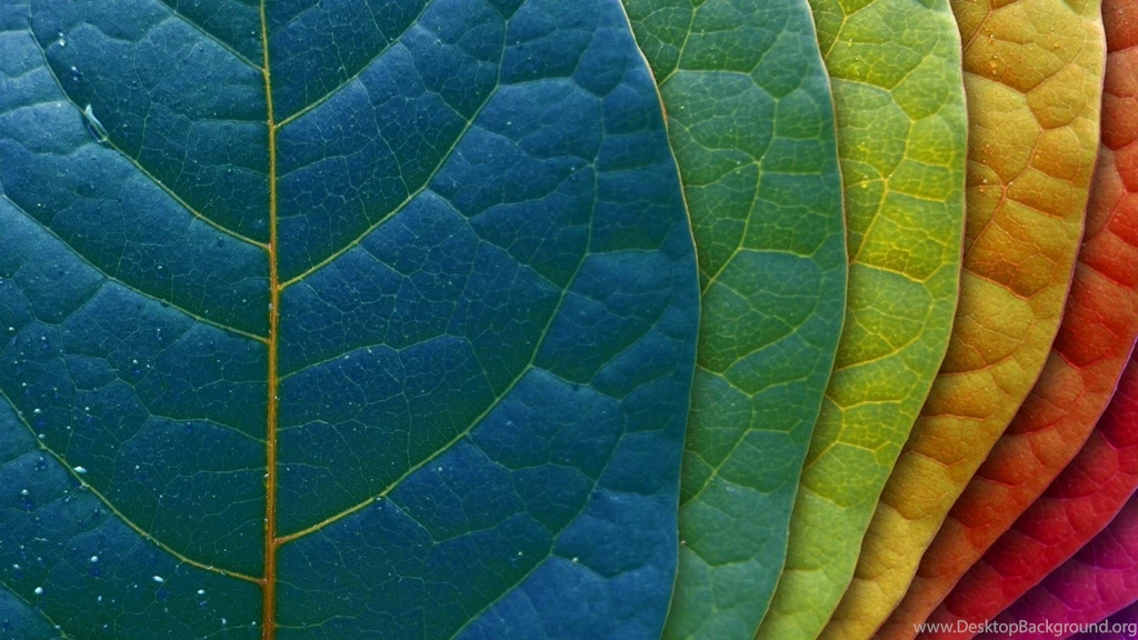 Imac Nature Wallpapers High Quality Resolution