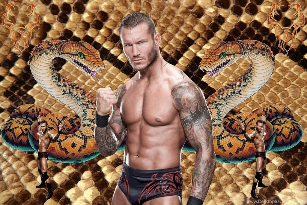 Randy Orton Hd Wallpapers 2013