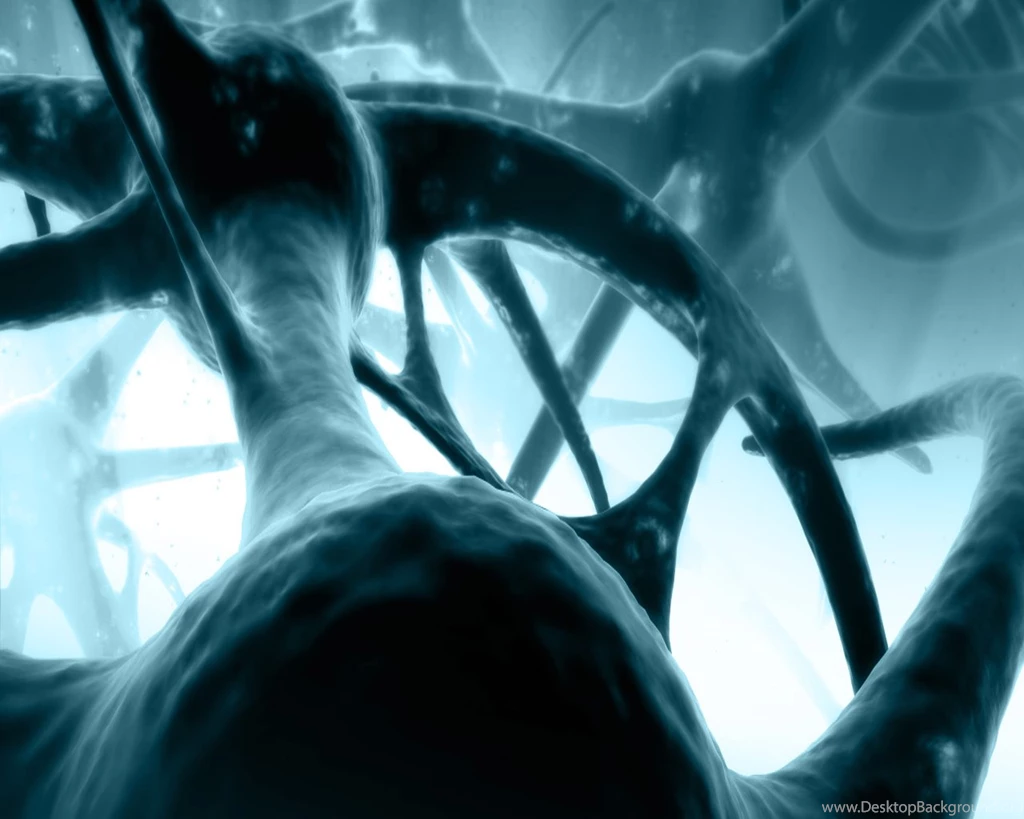 3093 CGI HD Wallpapers