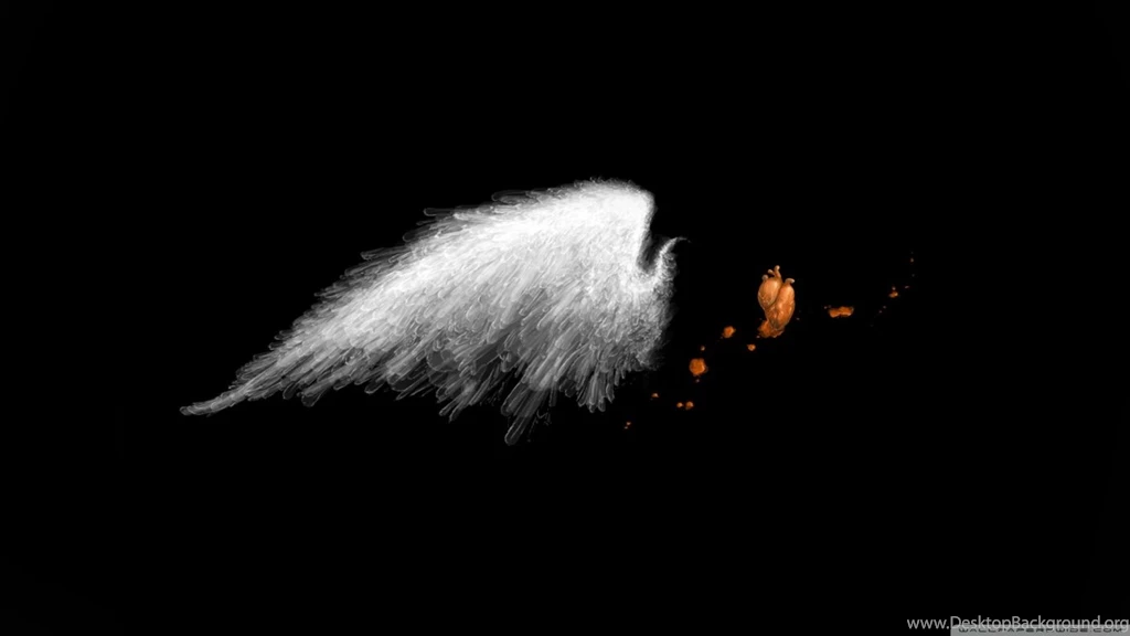 White Wings HD Desktop Wallpapers : Widescreen : High Definition ...