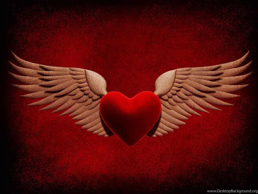 Heart Wings HD Wallpapers