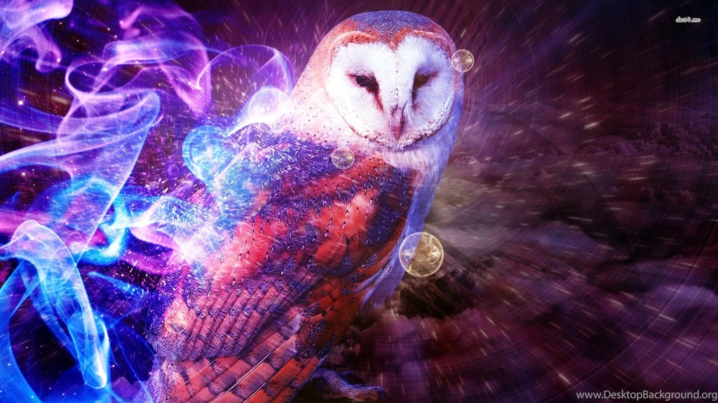 Owl Wallpapers