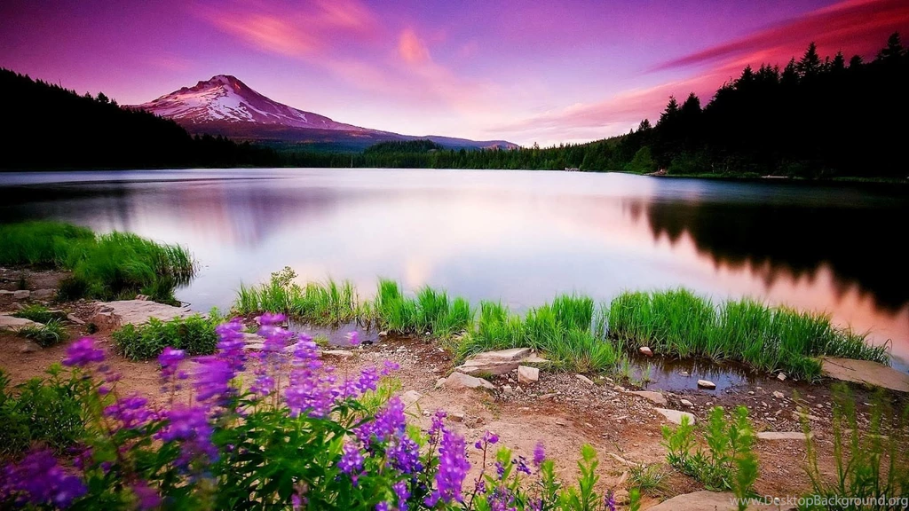 Nature Wallpapers Hd Download Widescreen HD Wallpapers