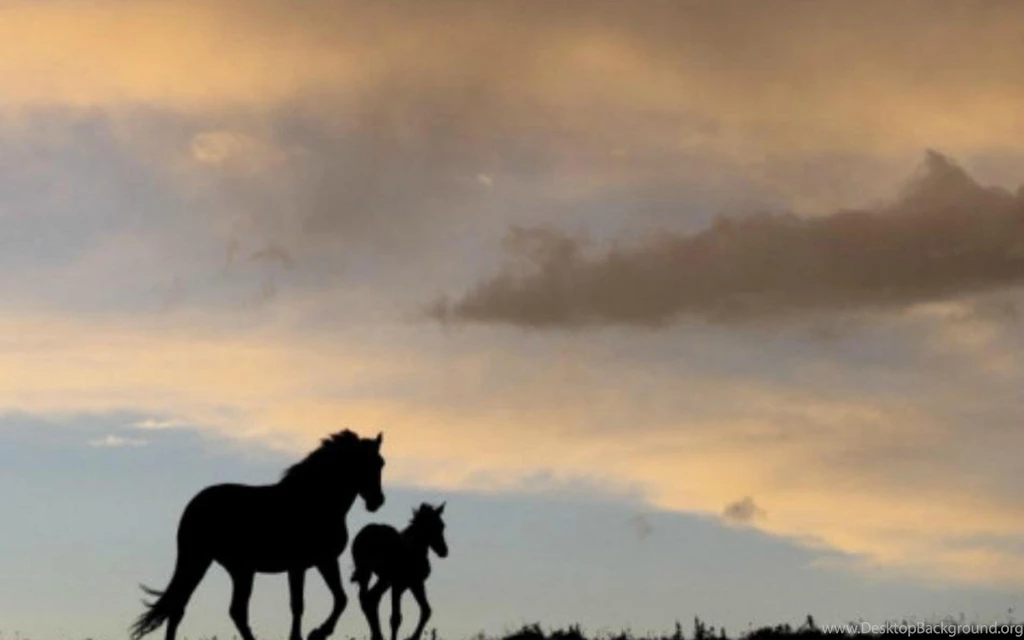 MARE AND FOAL WALLPAPER   (