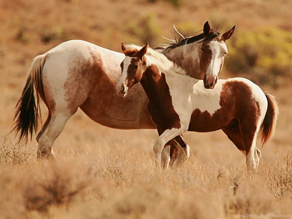 Modern Conservative History: If There Was A Law Against Lying Most ...