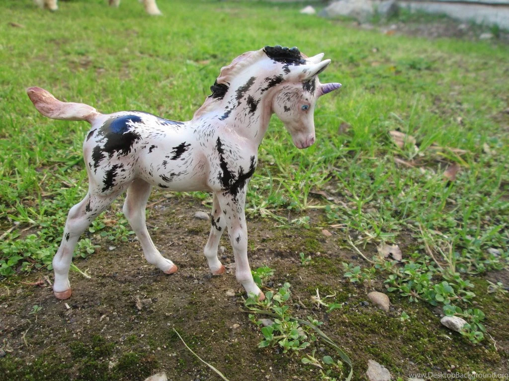 Unicorn Foal By Hoshi Gaki On DeviantArt
