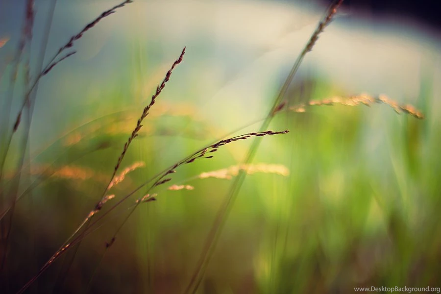 Letting Go Wallpapers By Sortvind On DeviantArt