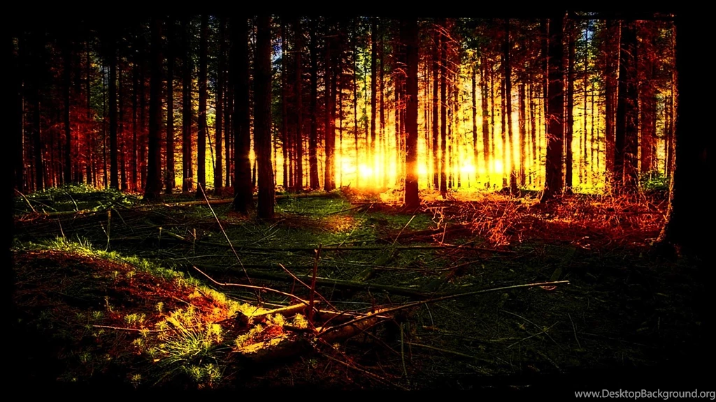 Is This A Dreams >> HD Wallpaper, Get It Now!