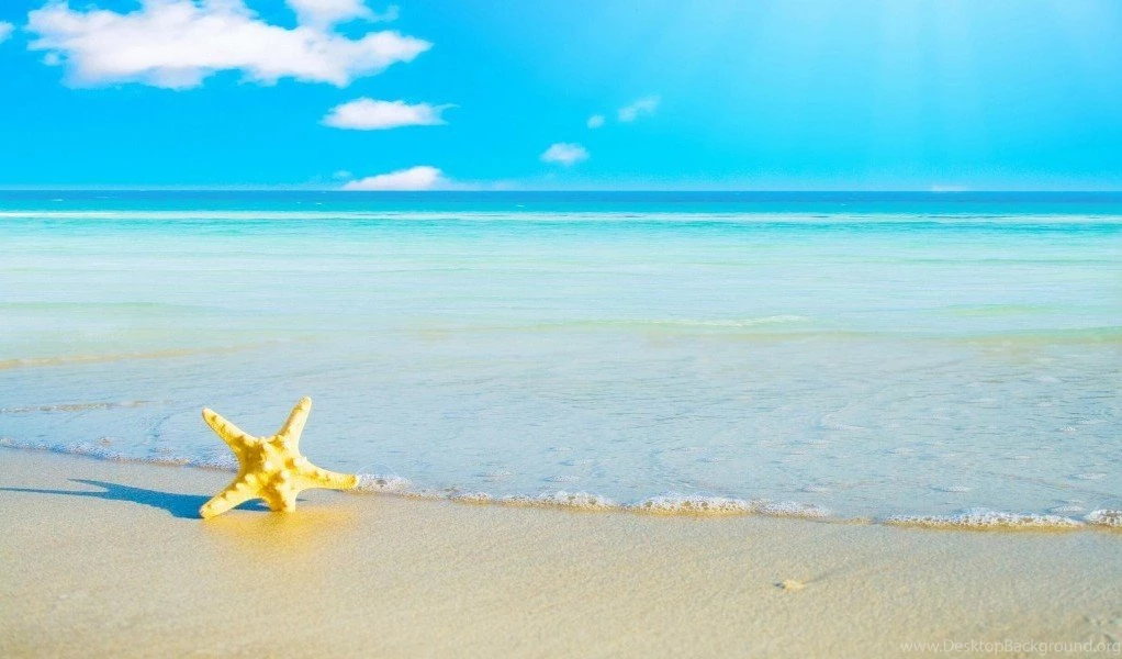 Florida Beach Wallpapers