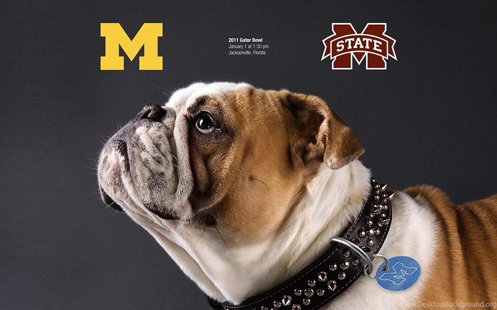 Michigan Football Fan Art   The Art. The Art. The Art!