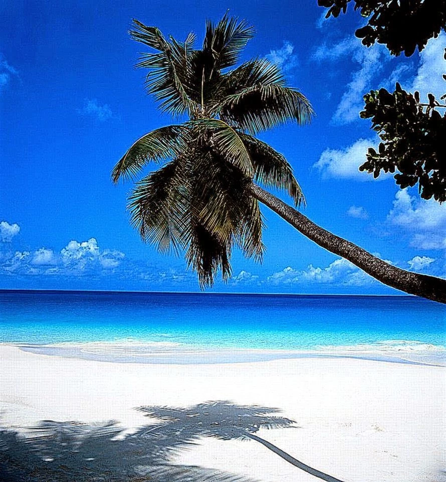 Paradise Beach