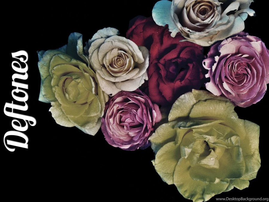 Browsing Wallpapers On DeviantArt