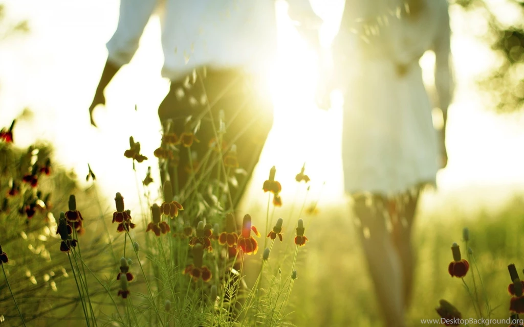1920x1200 Lovers Sunlight Wallpapers