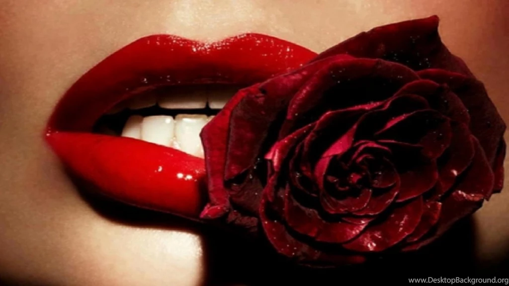 Red rose in lips free wallpapers hd