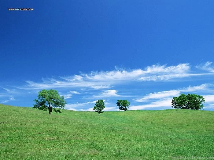 Perfect Farm Scene Wallpapers Vast Country Farm Under Blue Sky13 ...