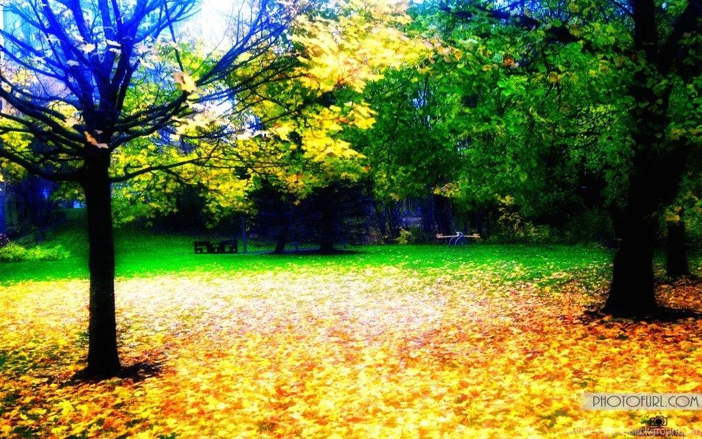 HD Wallpapers Hits Your For PC Desktop Wallpapers,Computer Backgrounds