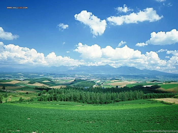 Perfect Farm Scene Wallpapers   Vast Country Farm Under Blue Sky20 ...