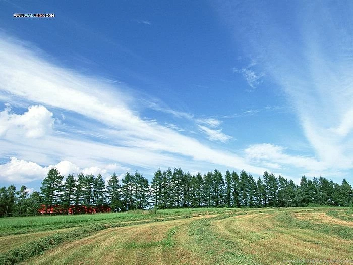 Beautiful Country Scenes