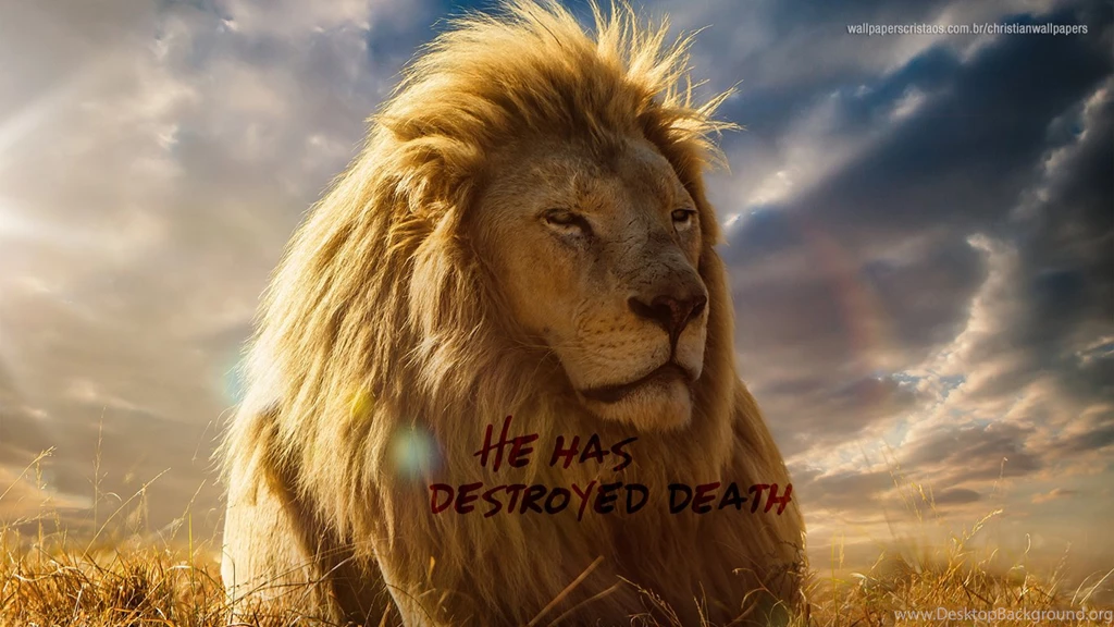 He Has Destroyed!