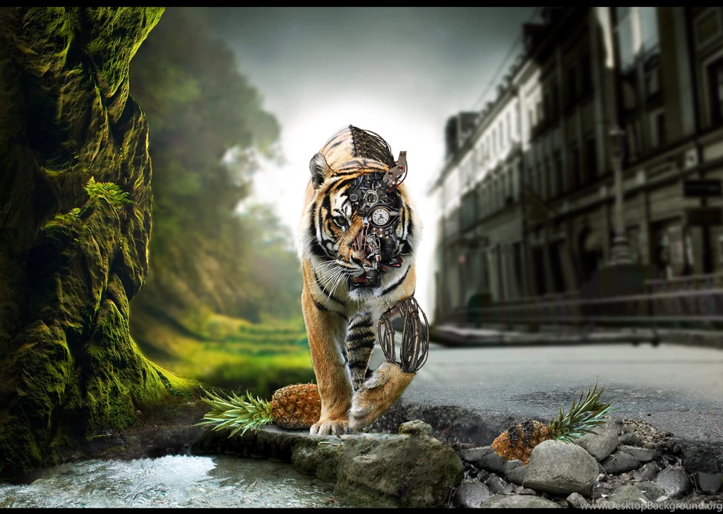 High Quality Desktop Wallpapers : Set 8 (June 2011)