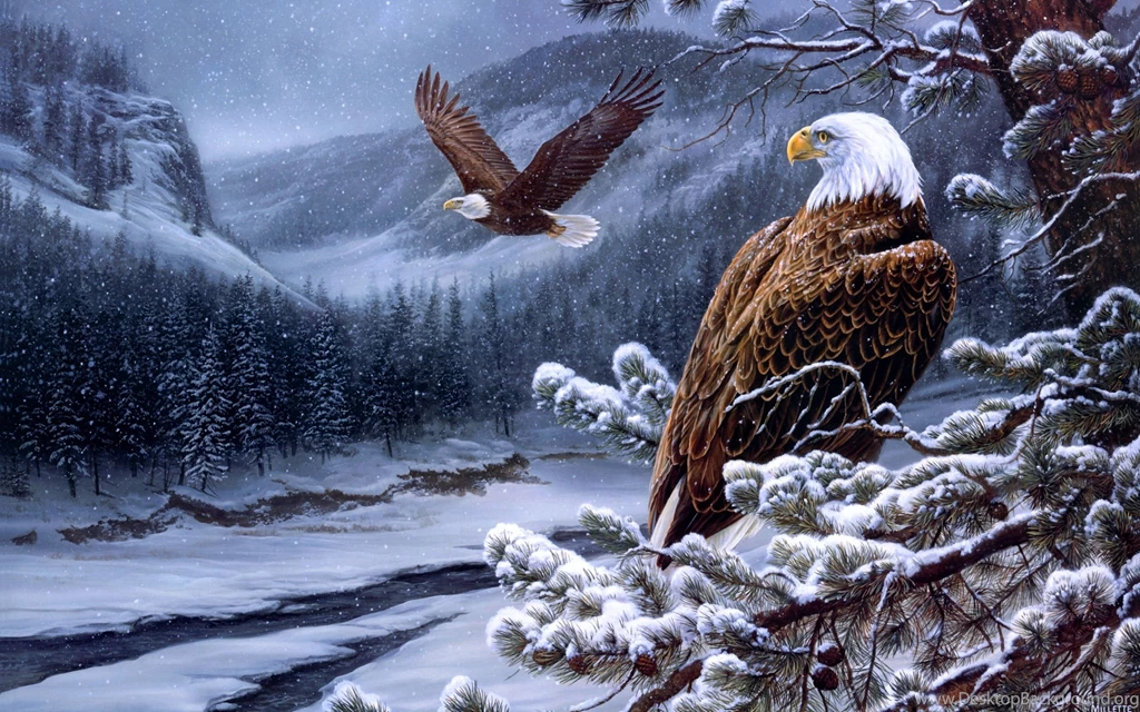 Flying Bald Eagle Uhd Wallpapers Ultra High Definition ...