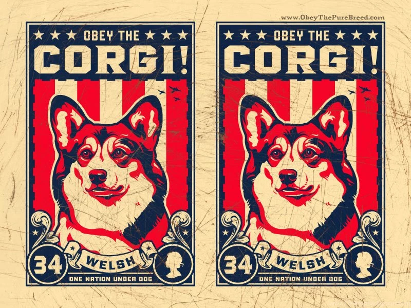 Welsh_corgi_wallpaper.jpg