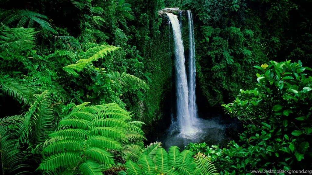 Aspundir: Green Natural Wallpapers