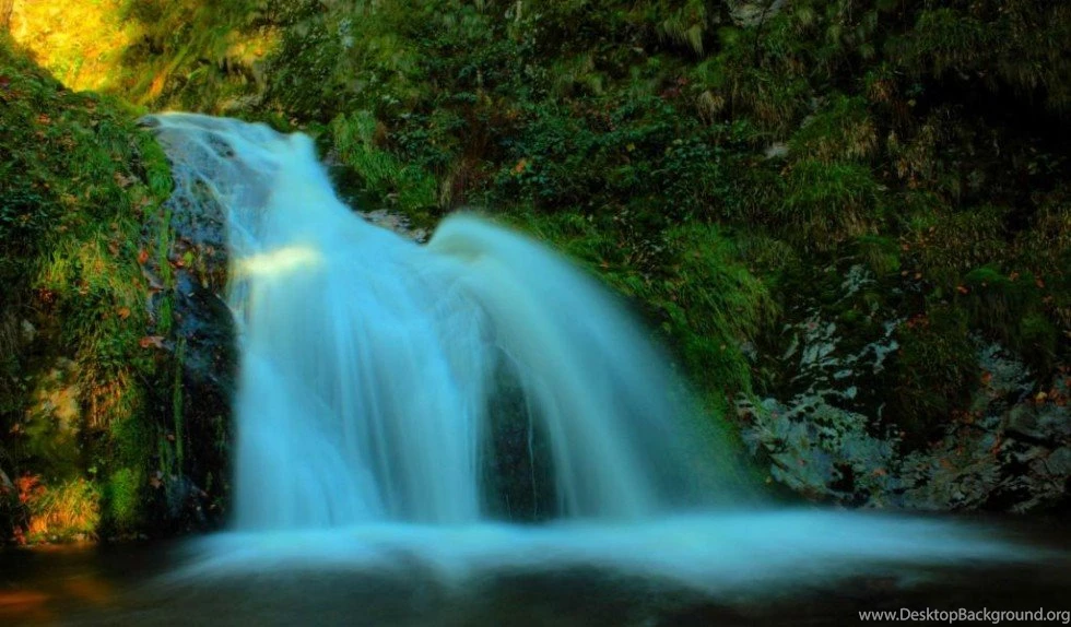 Beautiful Waterfalls Free Wallpapers Forest Falls 980×574 ...