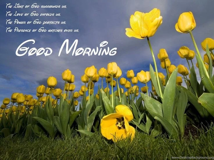 Good Morning Wallpapers HD Images – HD Wallpapers For Morning ...