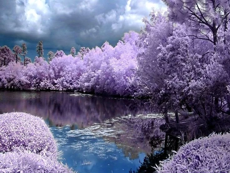 Spring Screensavers Backgrounds