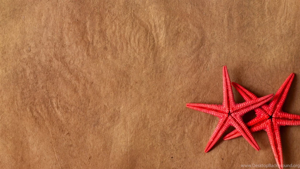 Starfish Wallpapers Windows