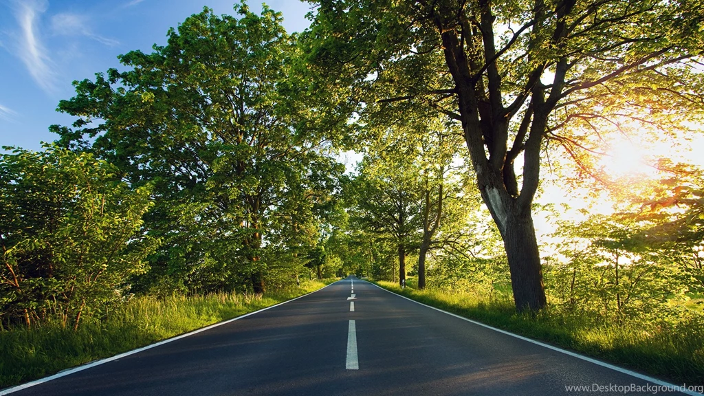 Spring In Road Wallpaper Backgrounds