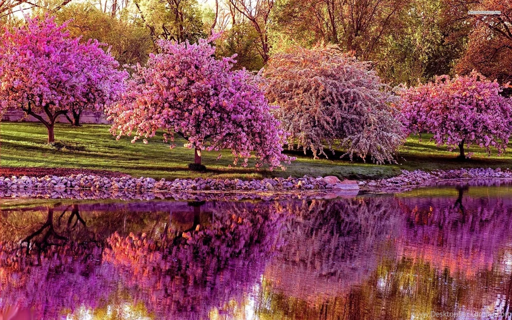 Spring Trees And Flowers Wallpapers
