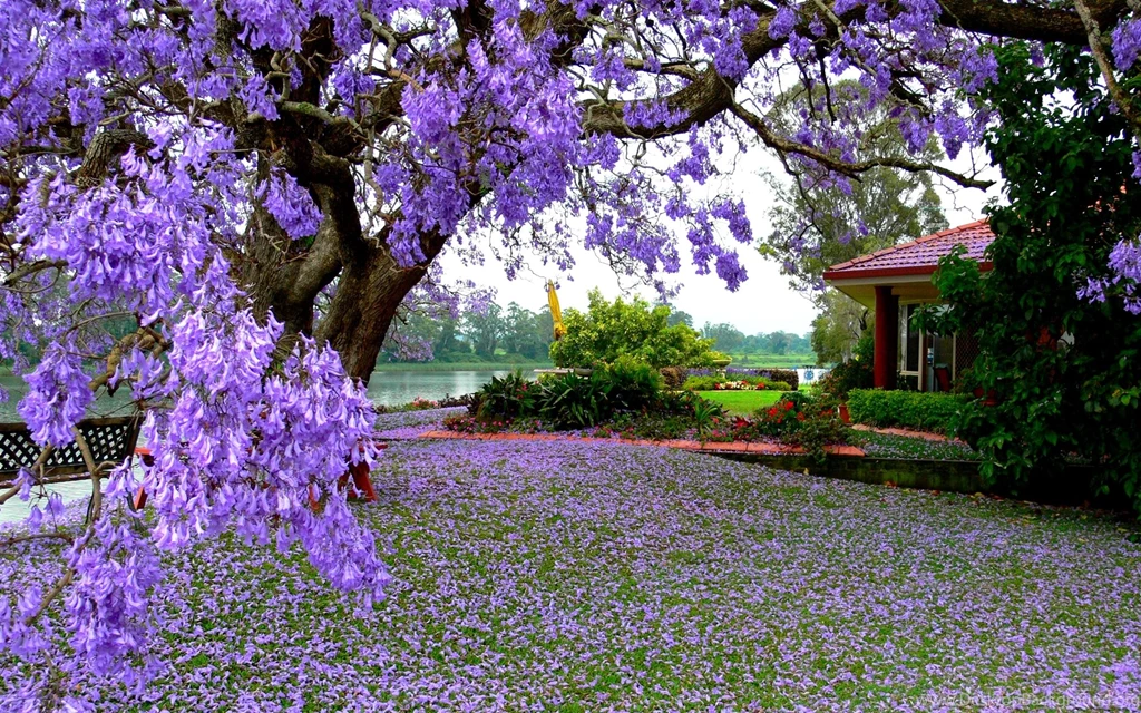 Spring Wallpapers Desktop Windows
