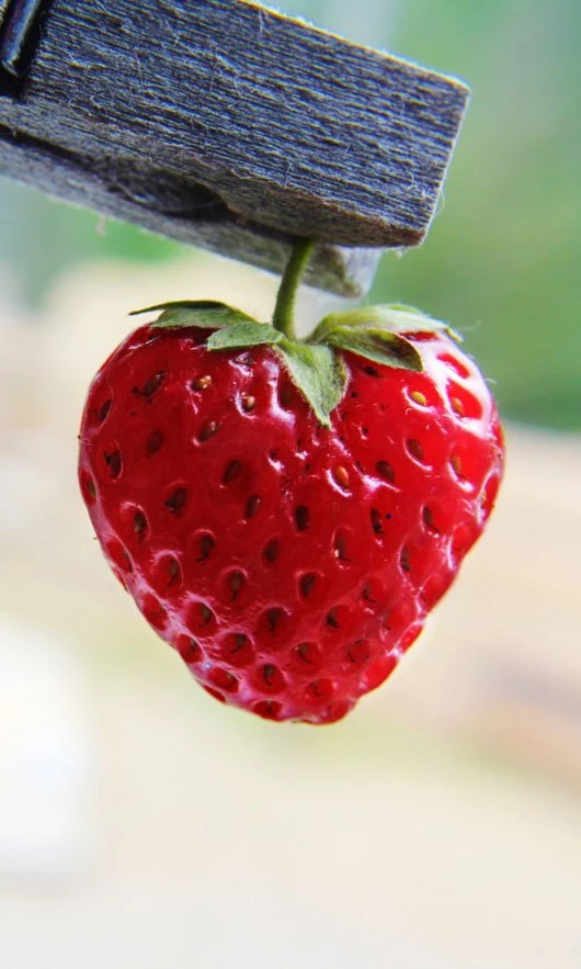 Lovely Valentine's Day Wallpapers For Android Smartphones – Be In Love