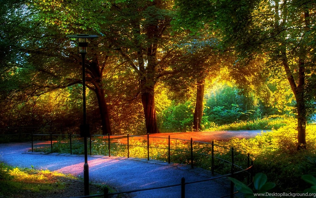 The Most Beautiful Pictures Of Nature   Widescreen HD Wallpapers