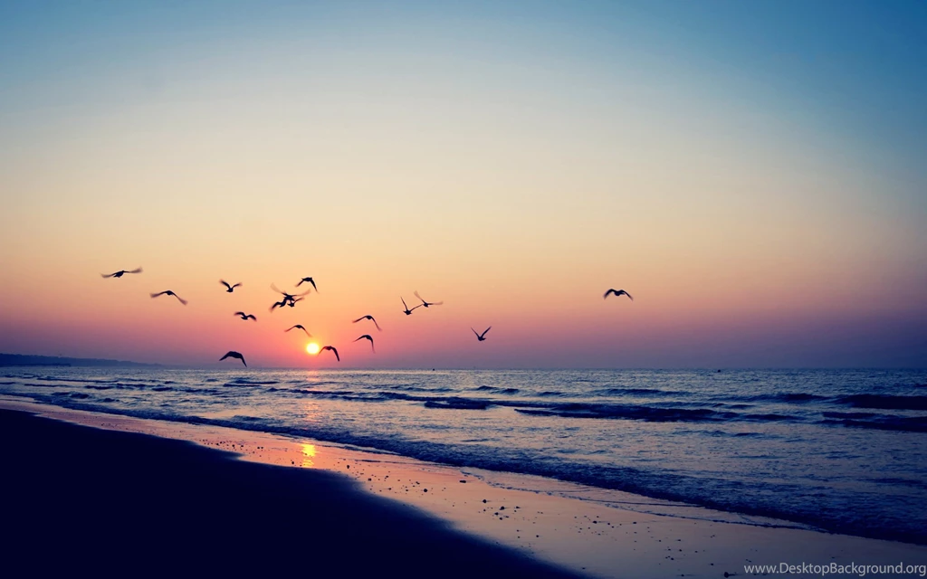 Tumblr Wallpapers