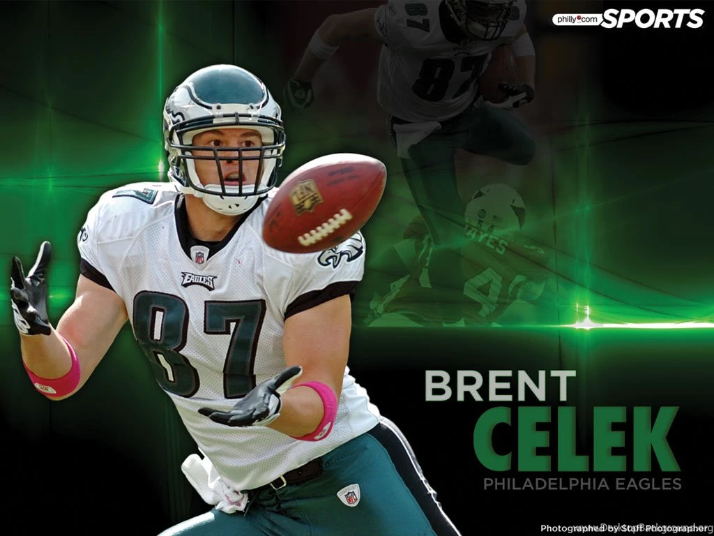 Eagles Wallpapers
